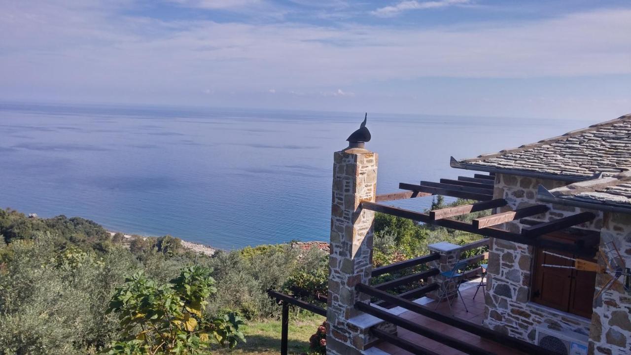 Villa Analipsi Sea View Hommes à Zagora Extérieur photo