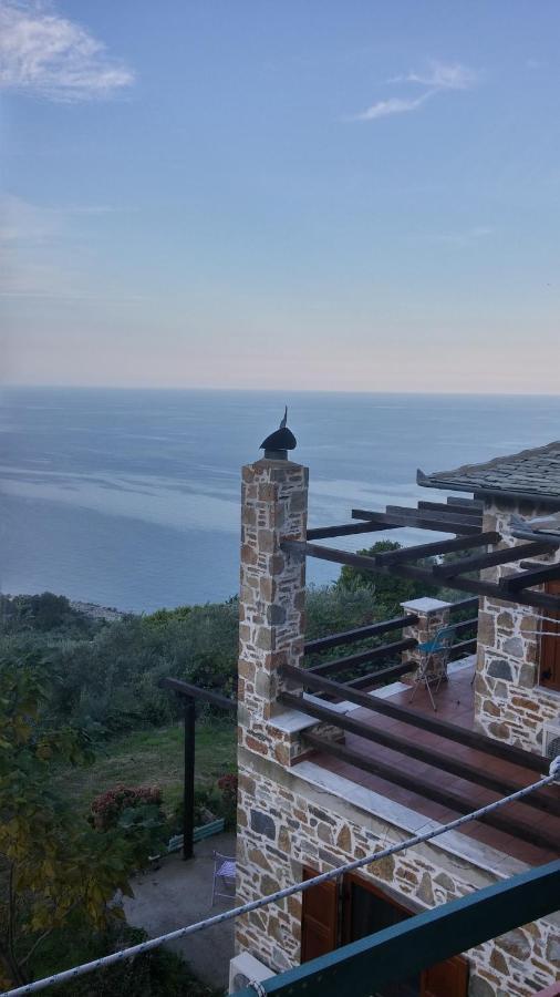 Villa Analipsi Sea View Hommes à Zagora Extérieur photo