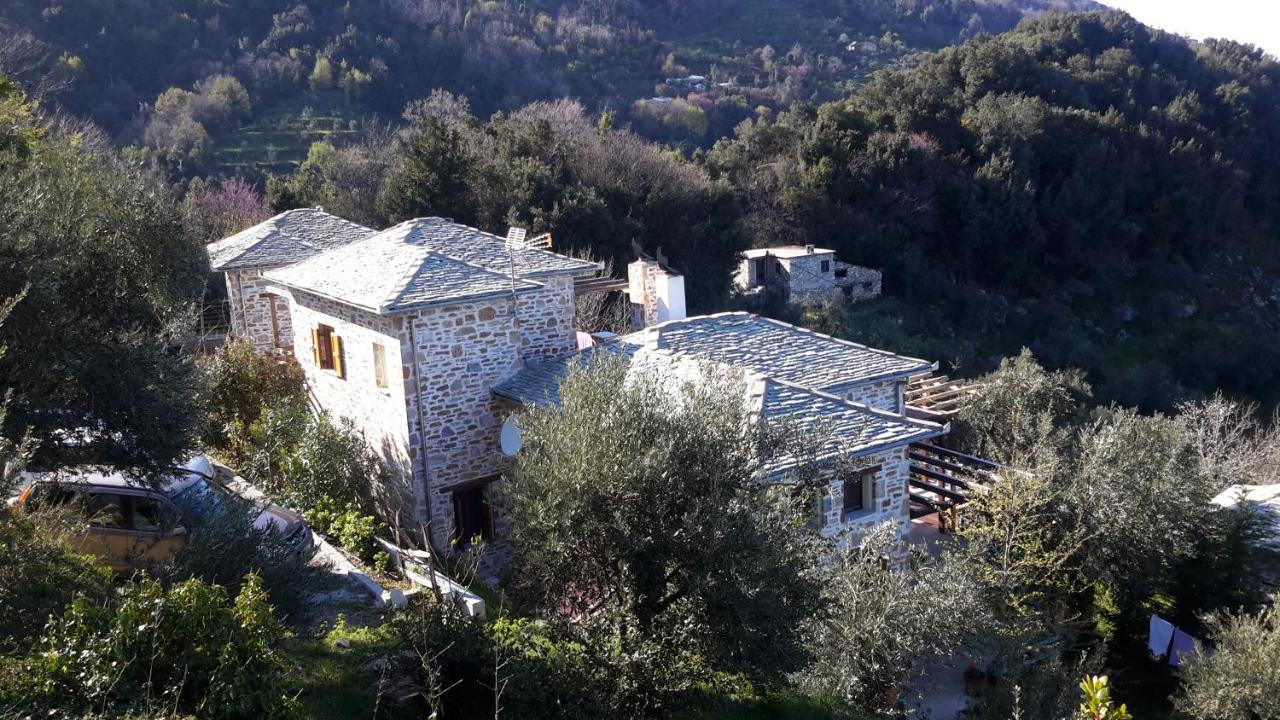 Villa Analipsi Sea View Hommes à Zagora Extérieur photo