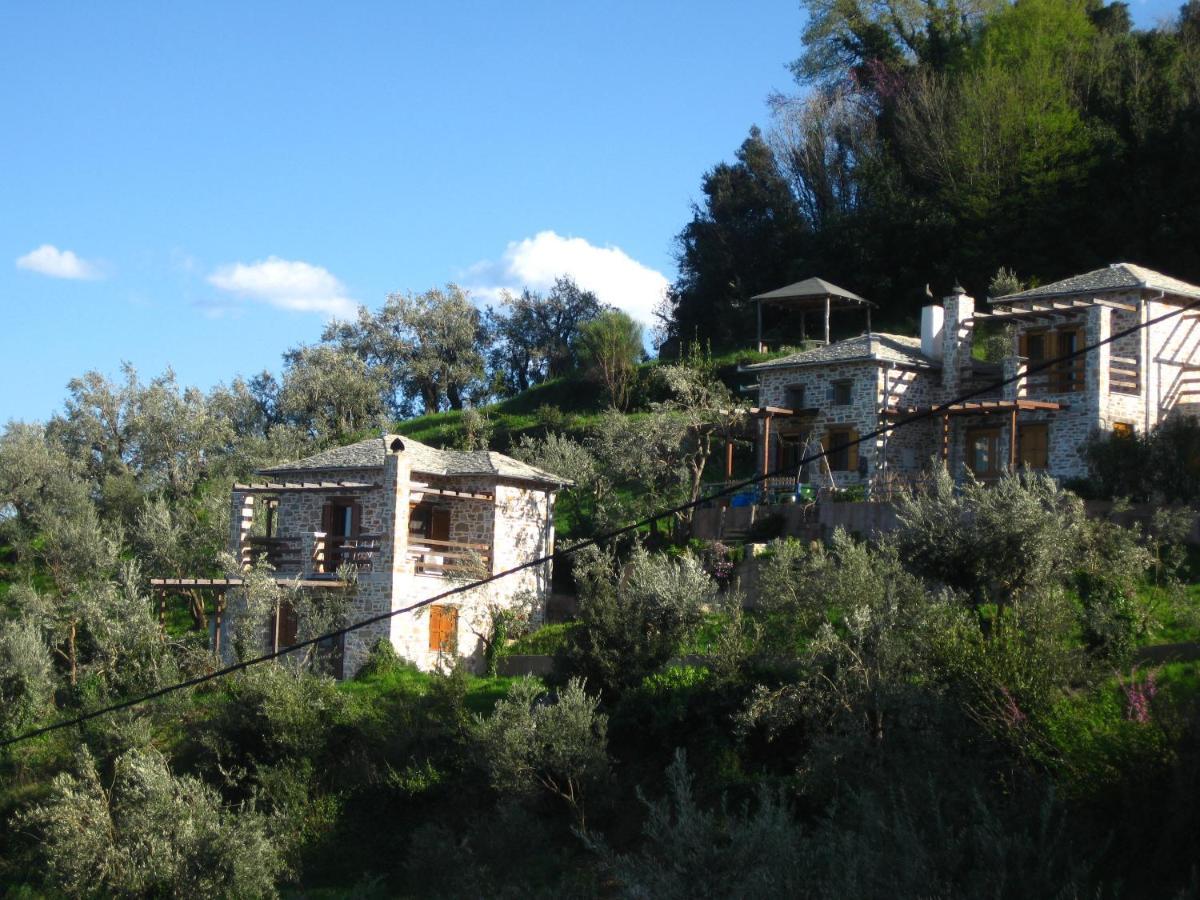 Villa Analipsi Sea View Hommes à Zagora Extérieur photo